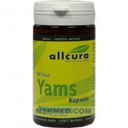 YAMS Kapseln 250 mg Yamspulver 60 St